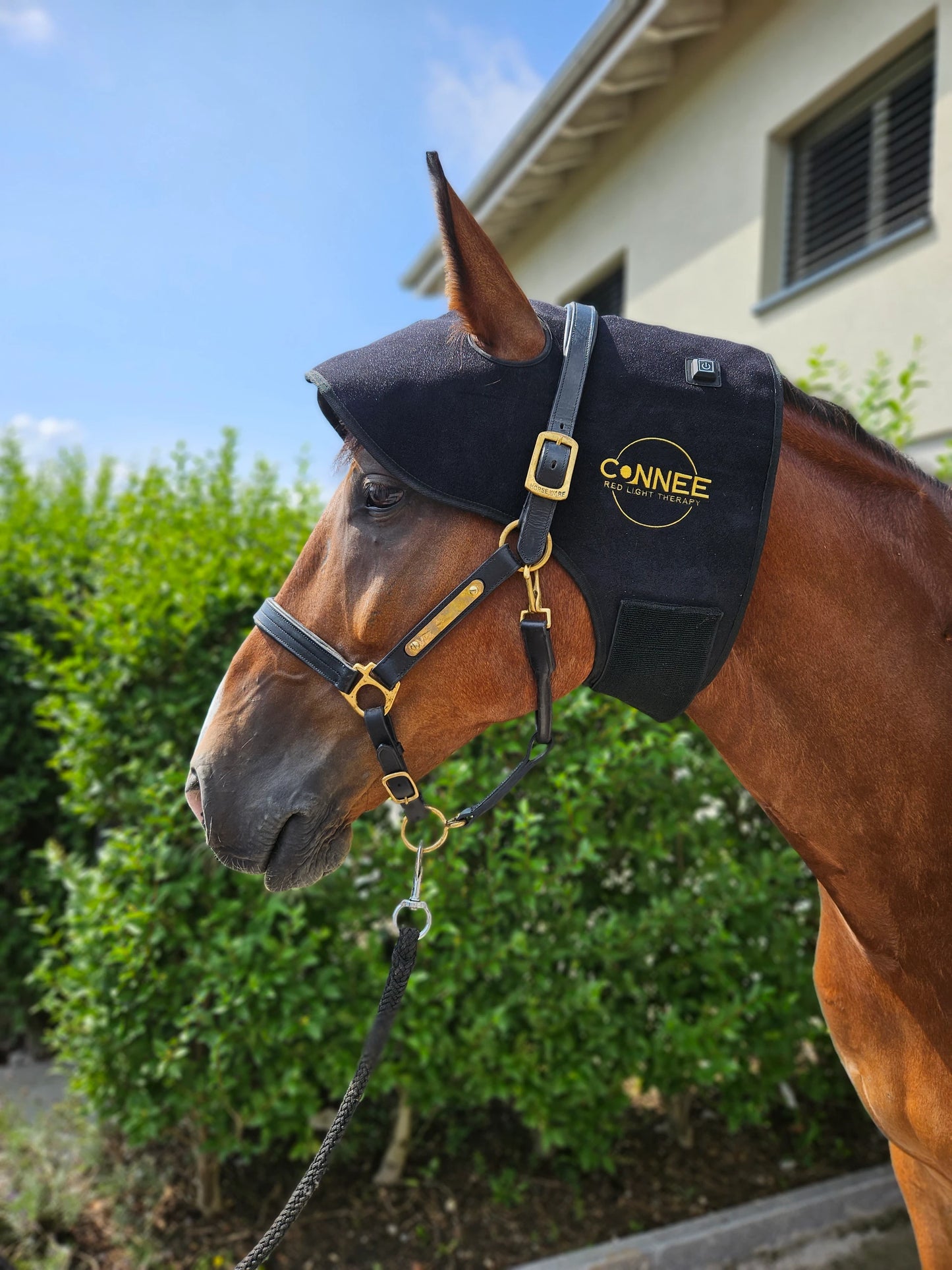 Kopfhaube